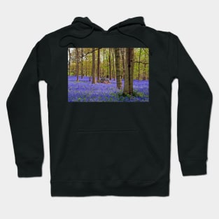 Bluebell Woods Greys Court Oxfordshire UK Hoodie